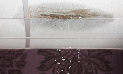 Plumber Quakers Hill